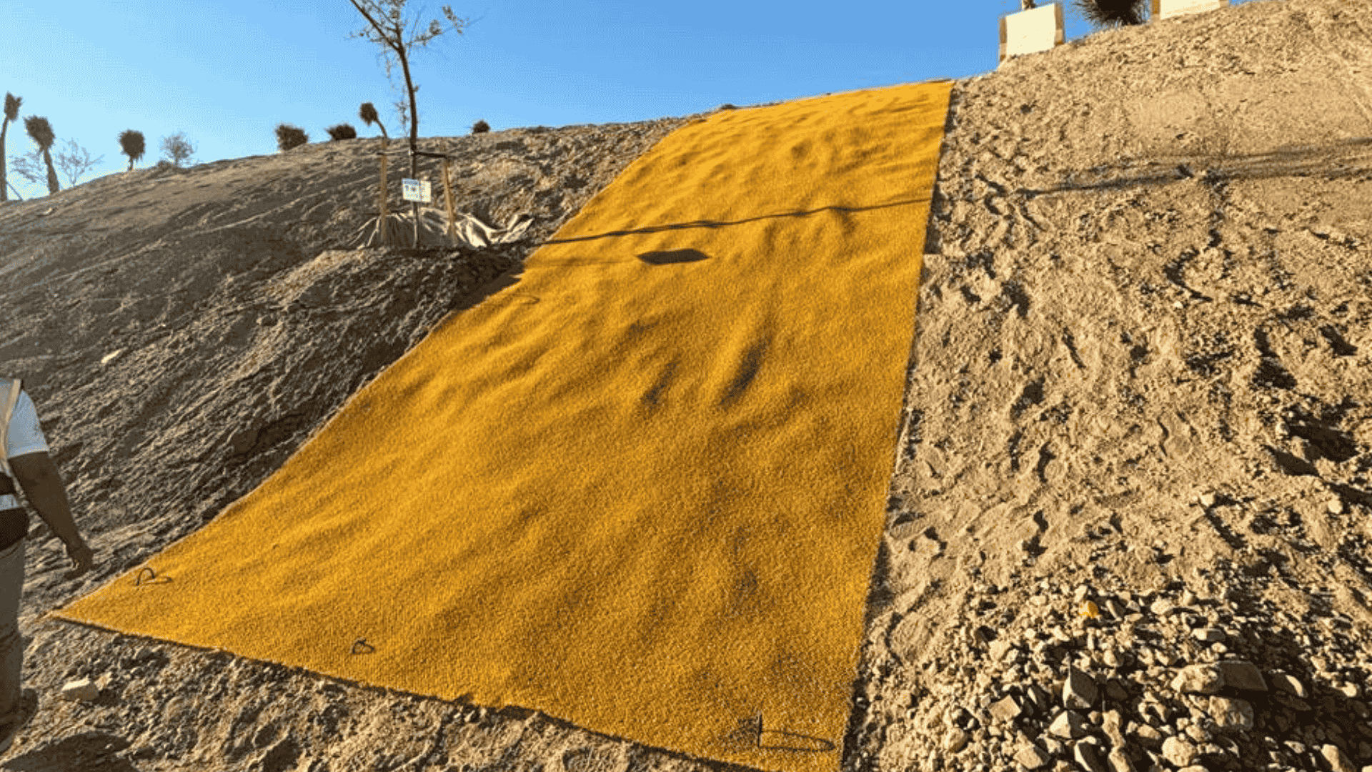 BENTOCLINE Application