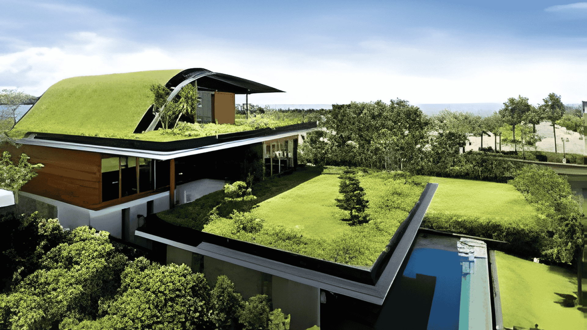 BENTOCLINE Application