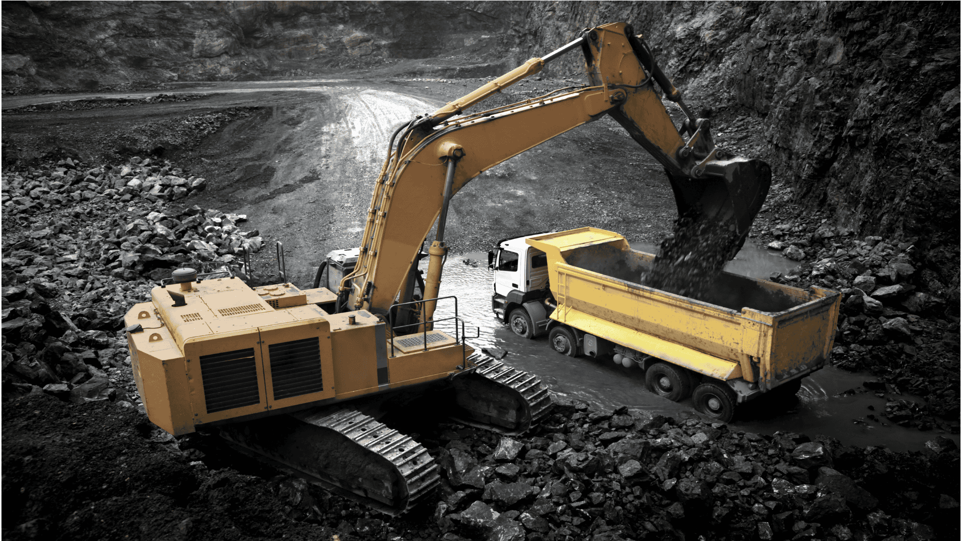 BENTOCLINE Application