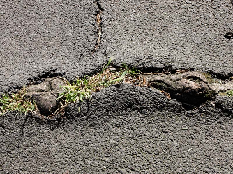 Polypropylene Biaxial Geogrid