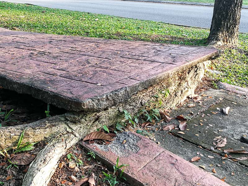 Polypropylene Biaxial Geogrid