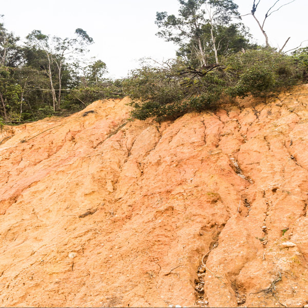 Polypropylene Biaxial Geogrid